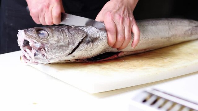 A fish cutter starts cleaning a hake over a white cutting board. He cuts the head.