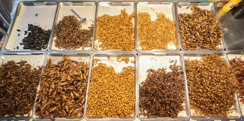 Fotobehang Fried insects , crickets, silkworms, grasshoppers, water bugs and other various insects street food in a local market seen around in Bangkok, Thailand. © tampatra