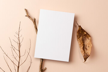 Greeting or invitation card mockup with nature decorations on beige background