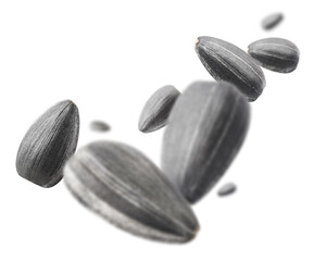 Black sunflower seeds, isolated on white background