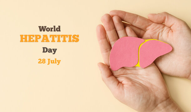 World hepatitis day. Adult hands holding liver on beige background. Awareness of prevention and treatment viral hepatitis. Liver cancer.