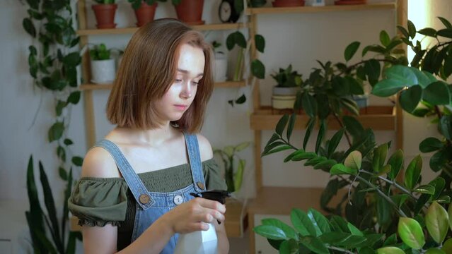 A young woman takes care of her houseplants tenderly by spraying them. She is looking disease, caring about her plants. Home gardening, hobby concept.