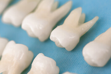 Fototapeta na wymiar Prosthetic dentistry White teeth on black background Oral dental hygiene Dental health concept Oral care teeth restoration top view.