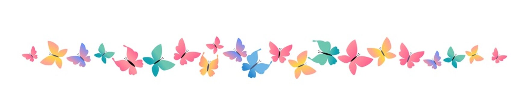Vector illustration border of beautiful butterfly on white color background. Bright design of different butterfly