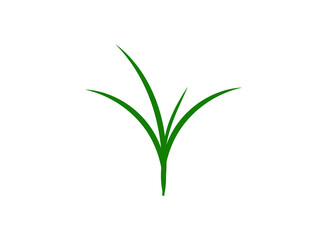 Grass Icon Symbol. Premium Quality Isolated Sedge Element In Trendy Style.