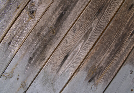 background old gray wood with shabby paint, with gaps between boards, knots. Weathered and faded natural wood with lines of boards, with space for text

