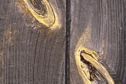 background old gray wood with shabby paint, with gaps between boards, knots. Weathered and faded natural wood with lines of boards, with space for text
