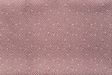 和柄の布地の背景素材