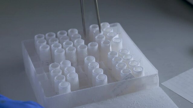 Frozen biological sample tubes handled with pincers. Close up.
