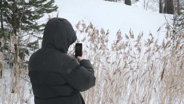 A man in a jacket and hood shoots a winter landscape on a phone camera. Shooting a snowy field, dry grass and forest