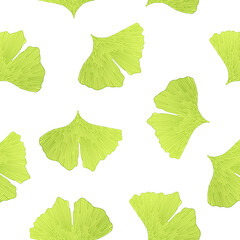 Simple vector pattern with hand drawn green leaves of ginkgo biloba on white isolated background. Vector illustration. Floral seamless pattern. Ginkgo leaves pattern. Seamless pattern with ginkgo.