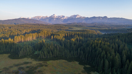 Aerial view of Pokljuka forest and meadows