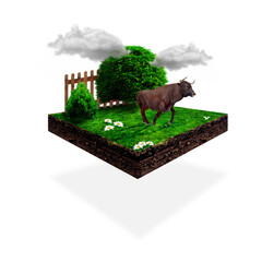 sheep in the farm