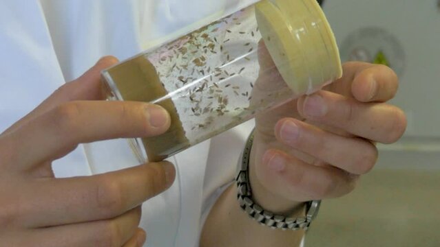 Live insect specimens for science research inside cylinder tube.