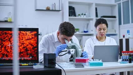 Medical lab workers examining blood sample under microscope, typing test report