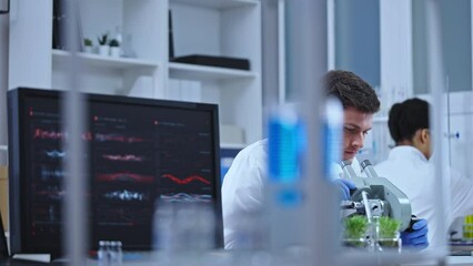 Incubator lab expert studying new plant breed, conducting scientific research - Powered by Adobe