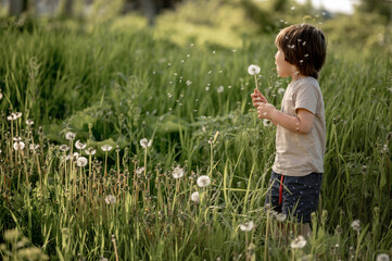 a boy in the park on the playground in the sandbox plays with sand and a shovel. happy child on a walk on a summer evening