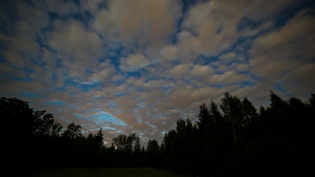 June white night sky over forest. Timelapse nature video.
