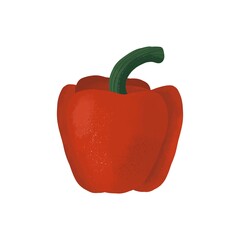 Fresh red pepper hand drawn organic vegetable isolated vector illustration for farm market, vegetarian salad recipe paprica
