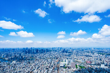 Aerial view of central Tokyo