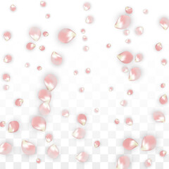Pink Vector Realistic Petals Falling on Transparent Background.  Spring Romantic Flowers Illustration. Flying Petals. Sakura Spa Design. Blossom Confetti. Design Elements for Wedding Decoration.