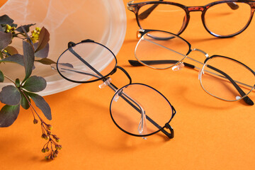 fashion eye glasses and plant branch on orange background