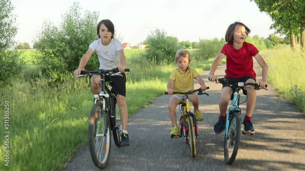 Wall mural Cute happy children, brothers, riding bikes in the park on a sunny summer day, talking and laughing