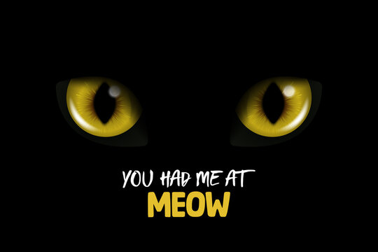 You Had Me At Meow. Vector 3d Realistic Yellow or Orange Glowing Cats Eyes of a Black Cat. Cat Look in the Dark Black Background Closeup. Glowing Cat or Panther Eyes