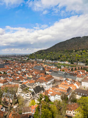 Aerial shot of Heidelberg town and historic buildings in summer, Germany