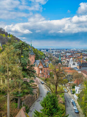 Vertical shot of Heidelberg town street and buildings on a couldy day, Germany