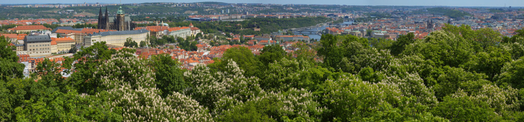 View of Prague from the observation tower on the hill Petrin,Czech republic,Europe
