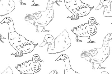 Simple seamless pattern with hand drawn ducks. Can be used for any graphic design ideas. Black and white vector illustration. Line art. 