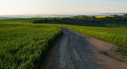 South Moravia Landscape on a beautiful day