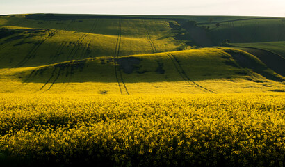South Moravia landscape and farmland in the spring