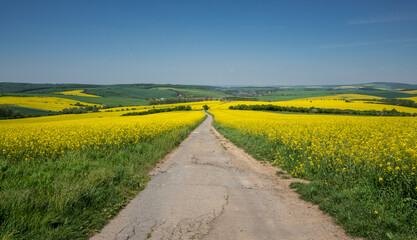 South Moravia landscape and farmland in the spring