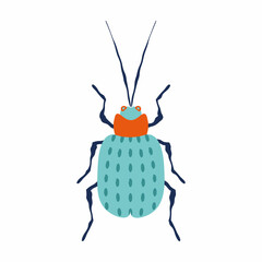 A beetle on an insulated layer