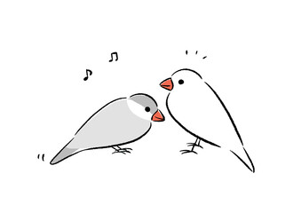 文鳥の歌とダンス