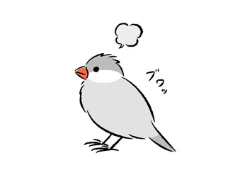 おこる文鳥