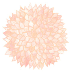 Sweet pink mandalas watercolor for decoration on nature garden and wedding event