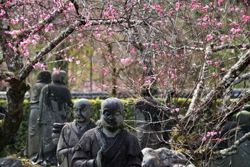 京都の嵐山の嵐山羅漢と紅梅