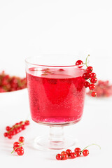 Boiling Red Currant Drink in a Glass and Raw Berries White Background Vertical Healthy Diet Drink