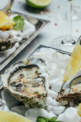 Fresh oysters on ice with lemon. Healthy food, gourmet food. Oyster dinner in restaurant