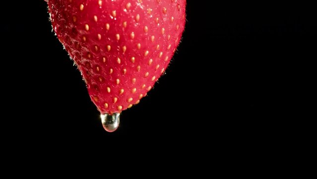 Red strawberry isolated on black background, juicy ripe berry close-up, sweet fresh fruits.