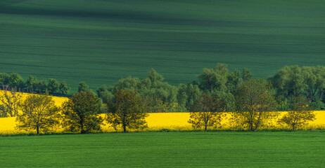 South Moravia landscape and farmland in the day