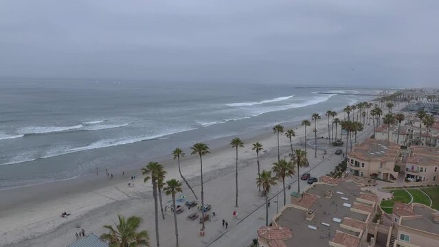 Seagull Flying By People on Beach in Oceanside, California • Aerial Drone Shot in Horizontal HD • Waves Palm Trees Riding Bike Cars • Seaside Condos