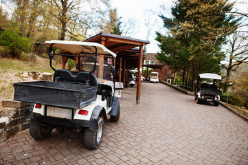Naklejka premium The cart for transportation car in the zoo.