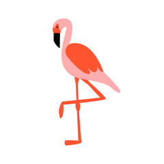 Cute pink flamingo on isolated background. Vector exotic summer illustration on isolated background. 