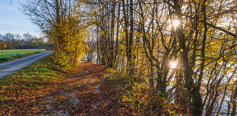 Fototapeta premium Autumn colors by the lake