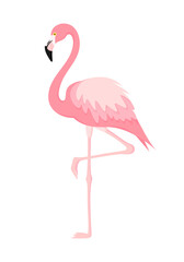 Pink flamingo isolated on a white background. Vector illustration in flat style