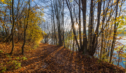 Autumn colors by the lake